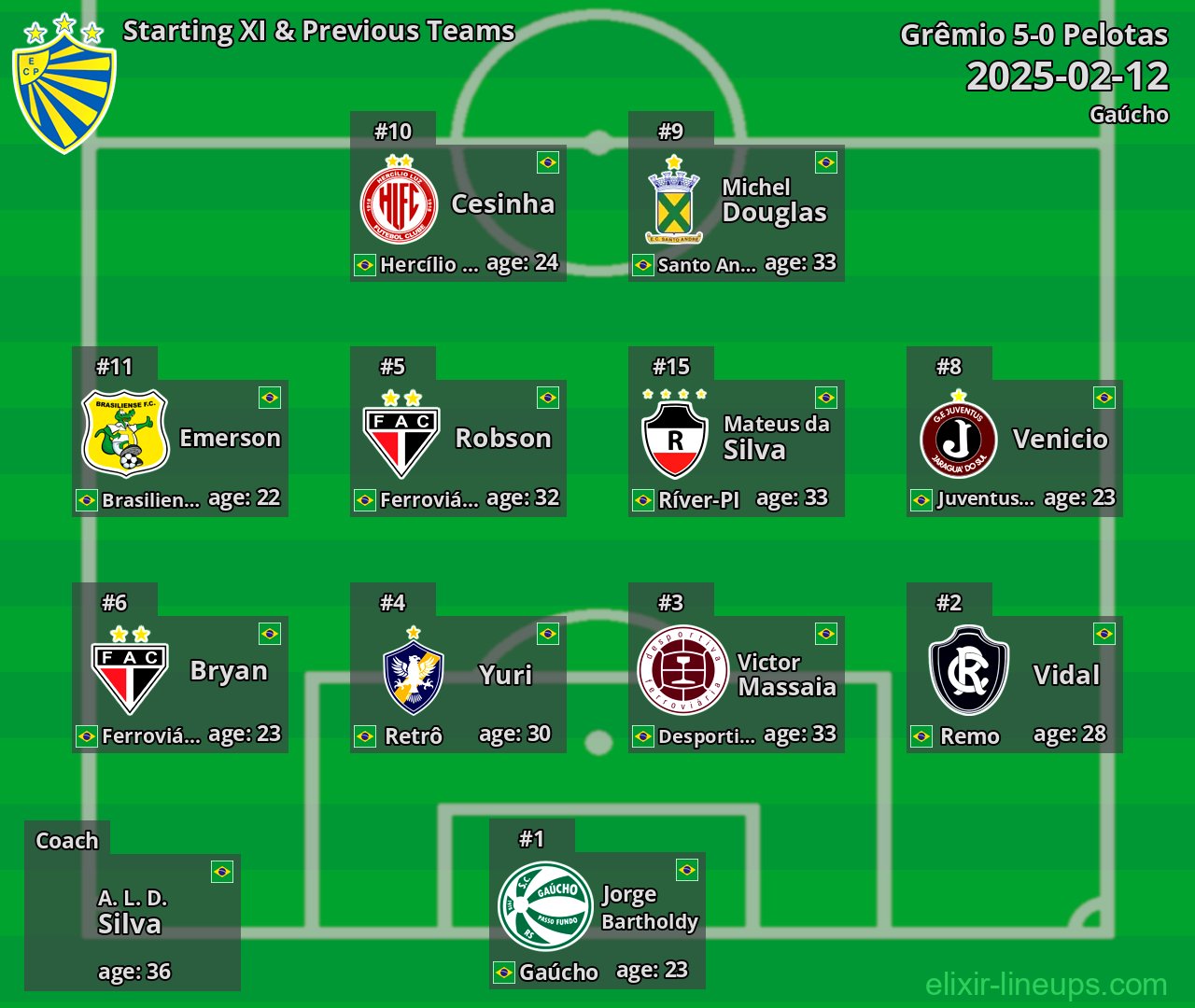 Pelotas Starting XI & Previous Teams 2025-02-12