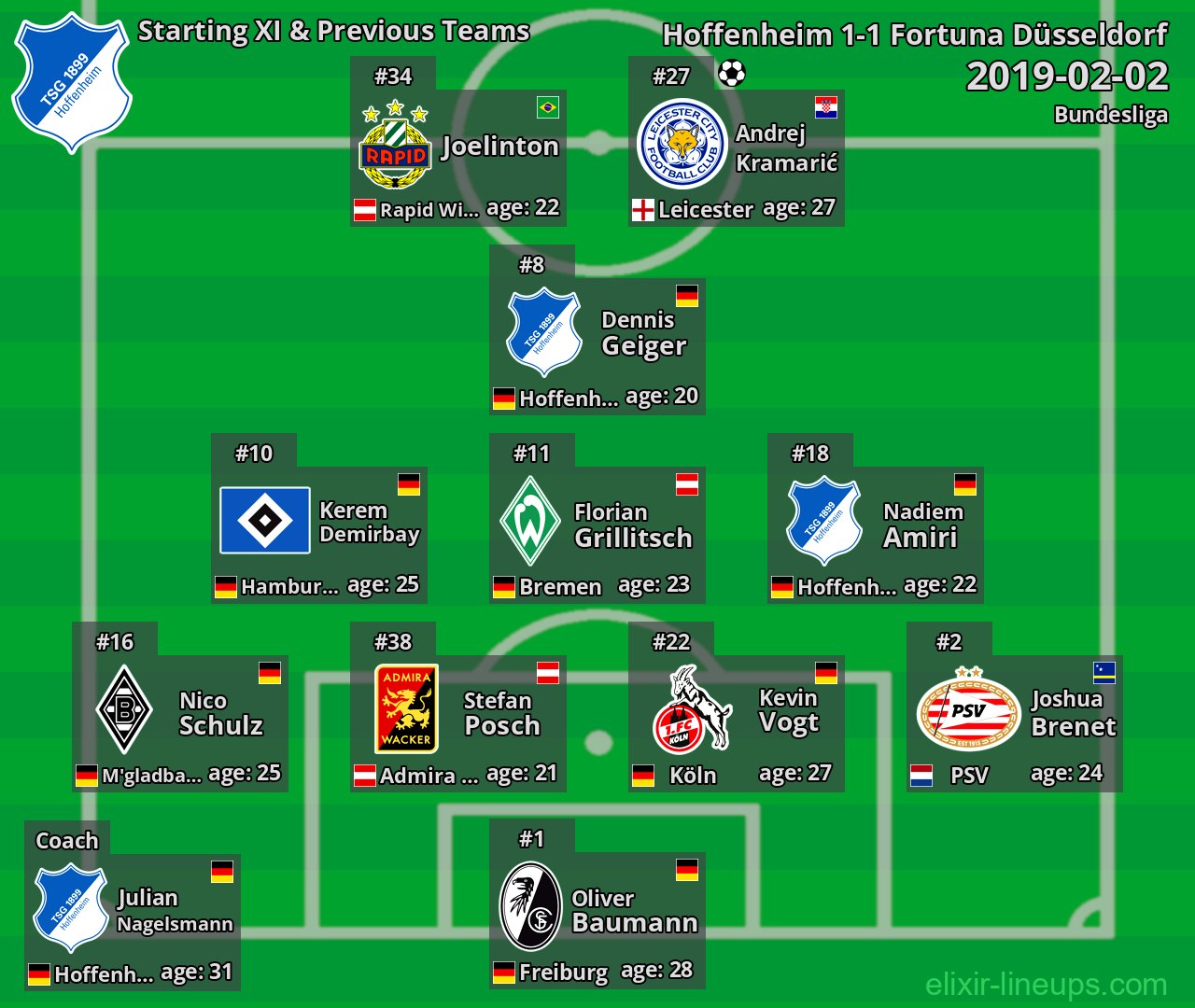 Hoffenheim Starting XI & Previous Teams 2019-02-02